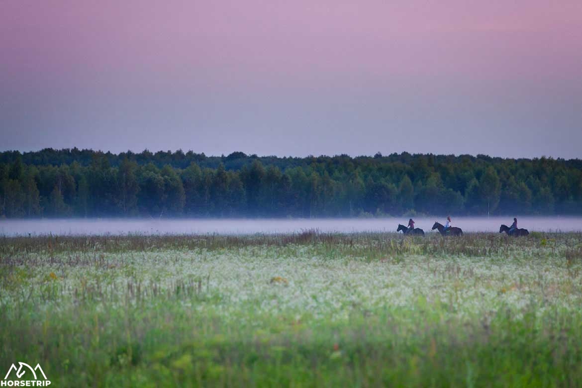 Конные походы в Рязанской области